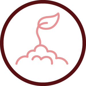 drive eco icon for grow
